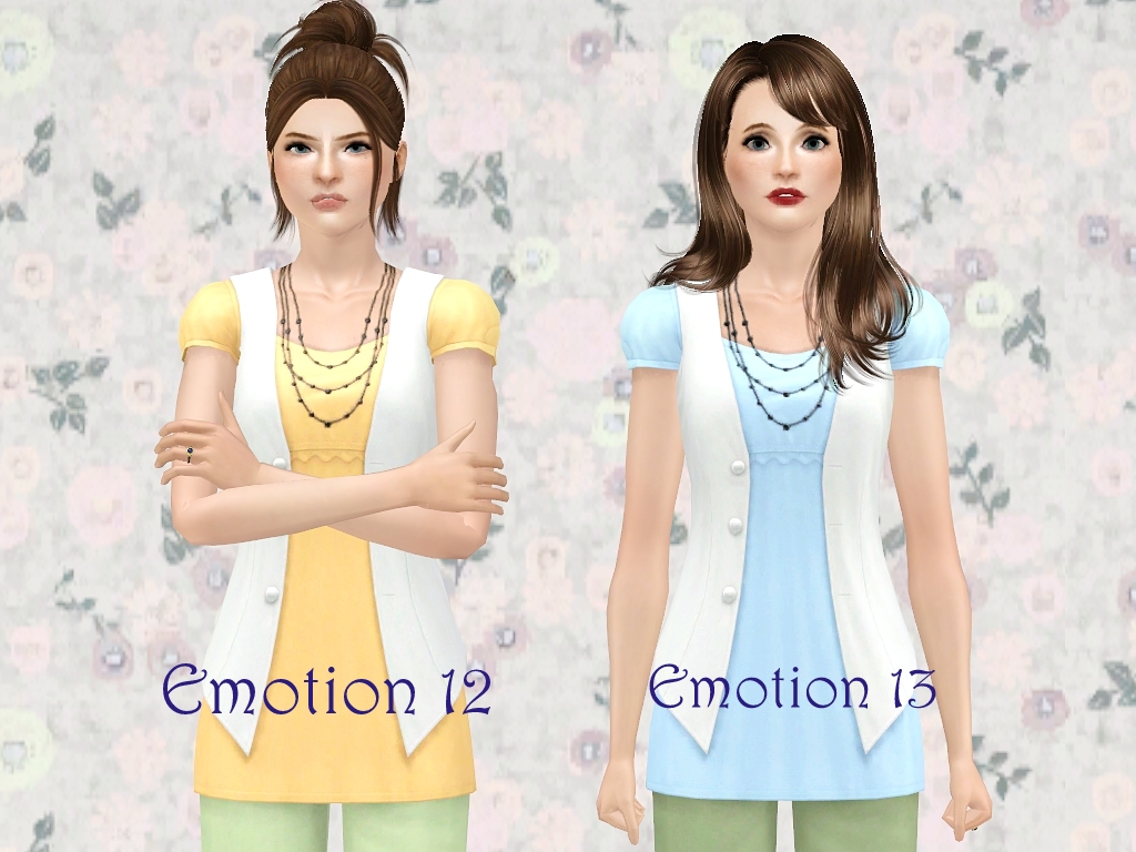 Emotion12and13